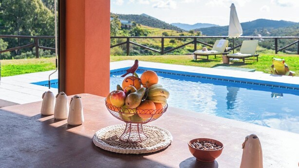 A poolside table with a fruit bowl, coffee cups, and a coffee pot. - Finca Meraki Ojén by Ruralidays (Málaga)