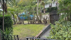 A garden with a paved pathway leading to a gate, surrounded by lush greenery and palm trees.