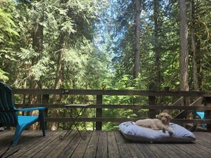 Terrace/patio - Cozy Cabin at Javi's Spring with Forest Bath! (Marblemount)