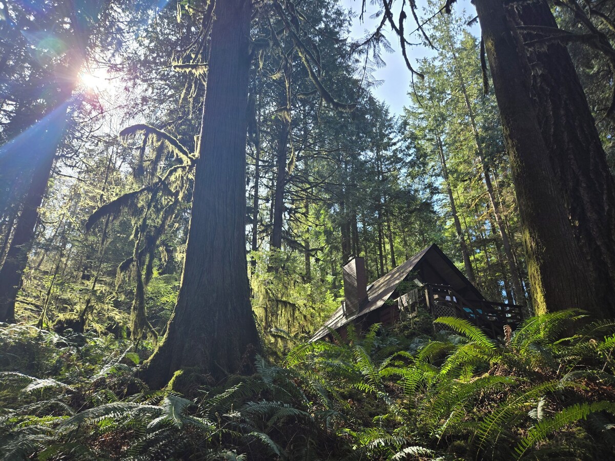 オーナーのプロフィール画像