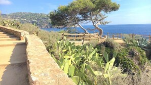 Paisaje costero con una cerca de madera, cactus y un árbol con vista al mar.