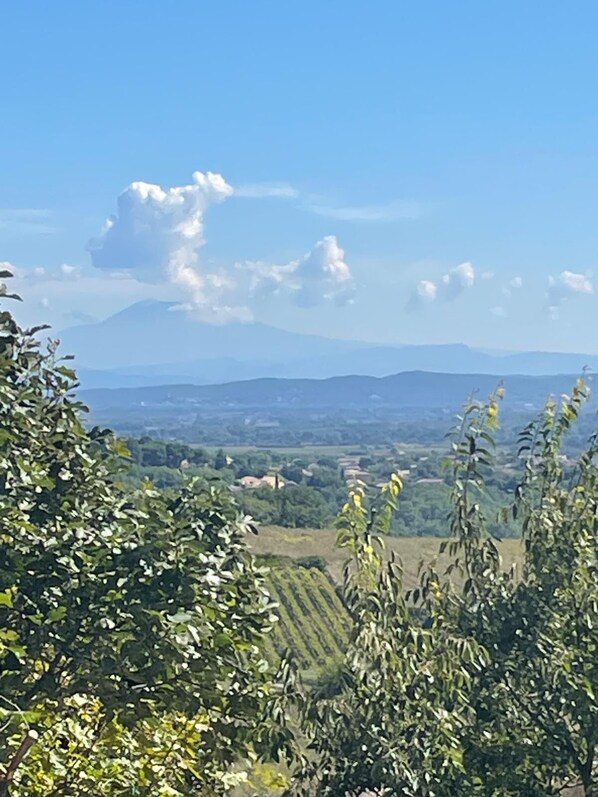 A landscape view with trees in the foreground and a distant mountain range.