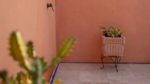 Un petit espace extérieur clos, équipé d’une douche, d’une plante en pot et d’un luminaire fixé au mur.