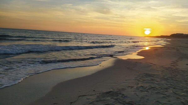 Playa