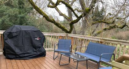 Steller's View, a secluded 2 bedroom apartment near downtown Brownsville.