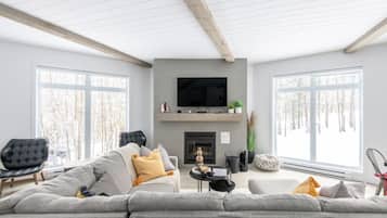 Smart TV, chimenea, videojuegos y reproductor de DVD