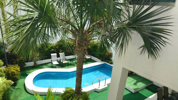 A swimming pool surrounded by palm trees and greenery, with lounge chairs and a small table nearby.