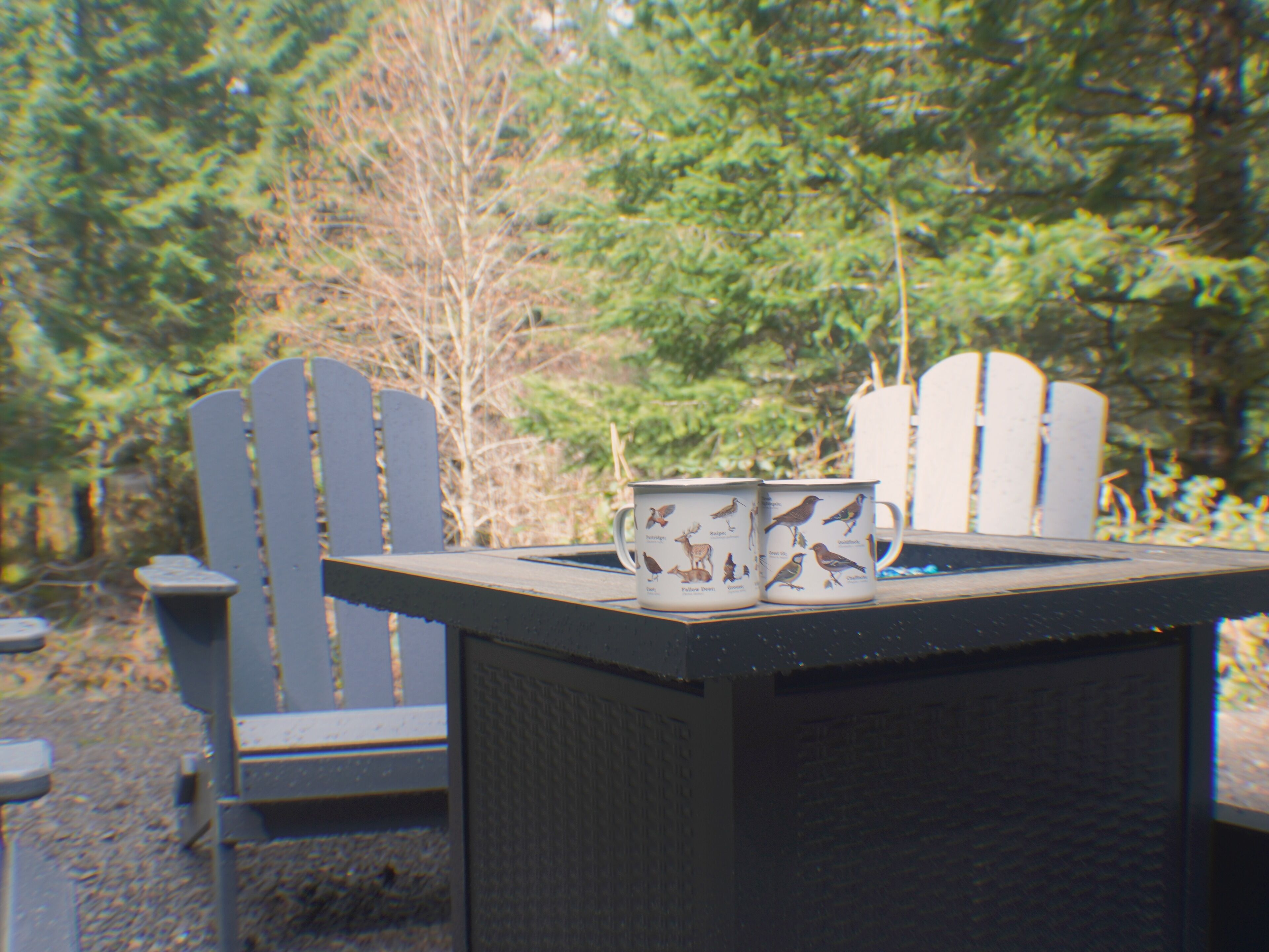 A wooden Adirondack chair and a table with a bird-themed mug.