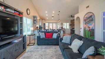 TV, fireplace, books