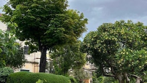 Een geplaveid pad, omzoomd door weelderige begroeiing en volgroeide bomen, leidt naar de ingang van een gebouw.