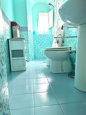 Shower, hair dryer, bidet, towels