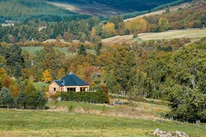 Ulkopuoli