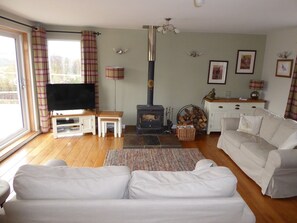 TV, fireplace, DVD player