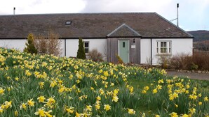 A white building with a green door, surrounded by a field of yellow daffodils. - Groose Hoose -  a cottage that sleeps 4 guests  in 2 bedrooms (Glenshee)