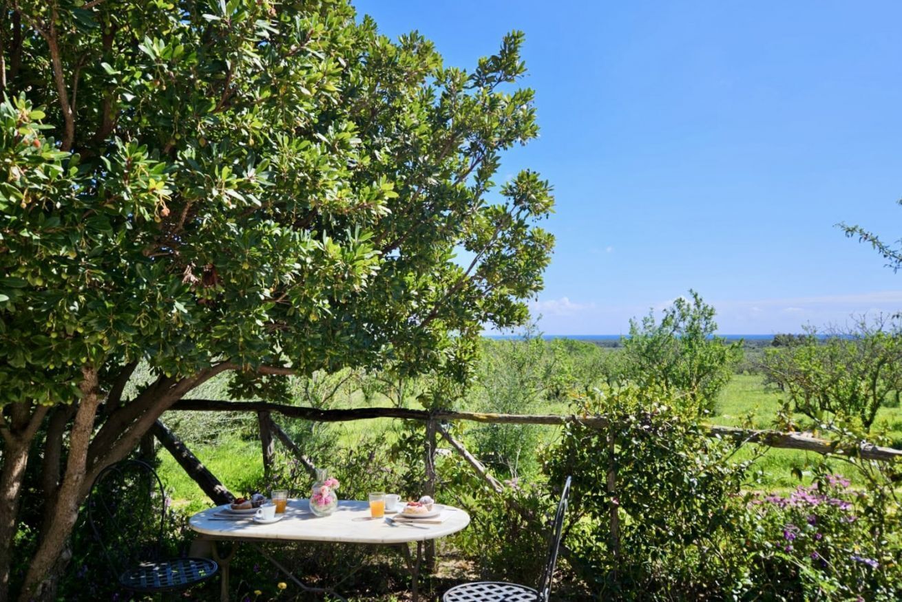 Un espace de restauration en plein air avec une table dressée pour deux personnes, entouré d’une végétation luxuriante et offrant une vue dégagée sur le paysage.