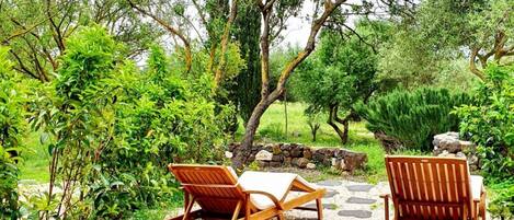 Área da propriedade