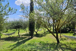 Property grounds - Green Hotel I Mandorli_Albergo Rurale (Orosei)