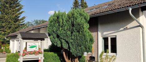 A building with a tiled roof, a large evergreen tree in front, and a signboard with text.