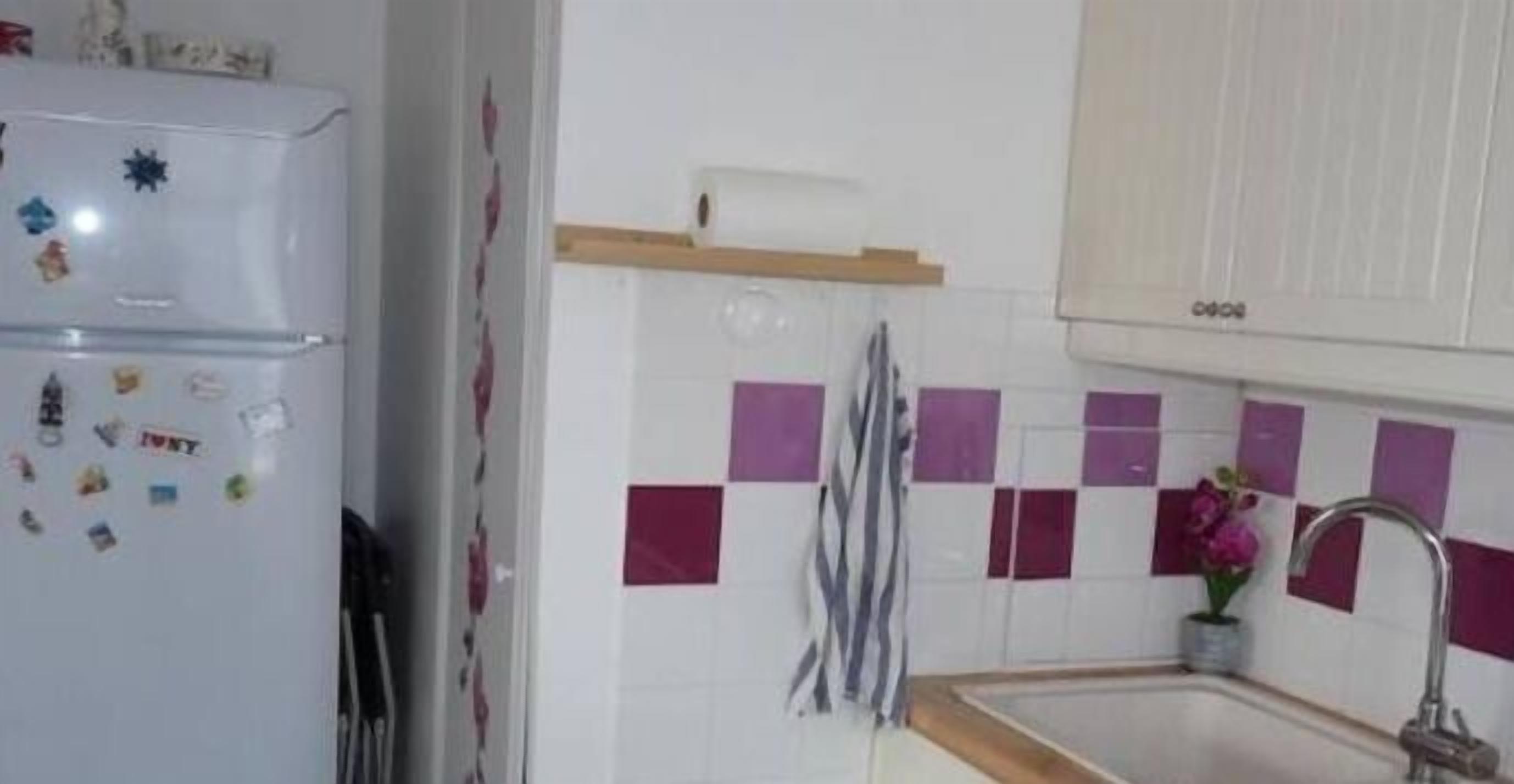 Cozinha com geladeira, pia e painel de azulejos.