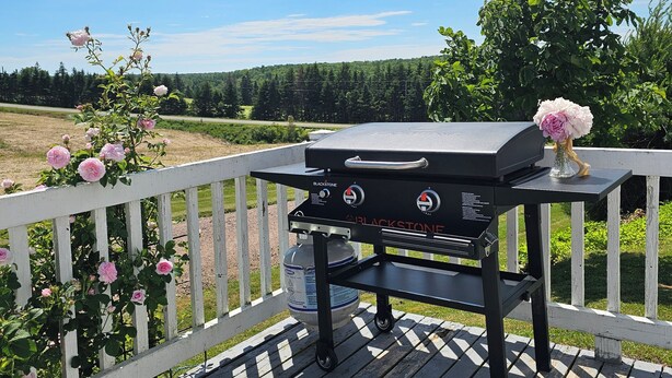 En grill på en utomhusveranda med ett vitt räcke, omgiven av grönska och en klar himmel.