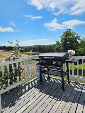 Un barbecue installé sur une terrasse extérieure dotée d’une rambarde blanche, entouré de verdure et surplombant un ciel dégagé.