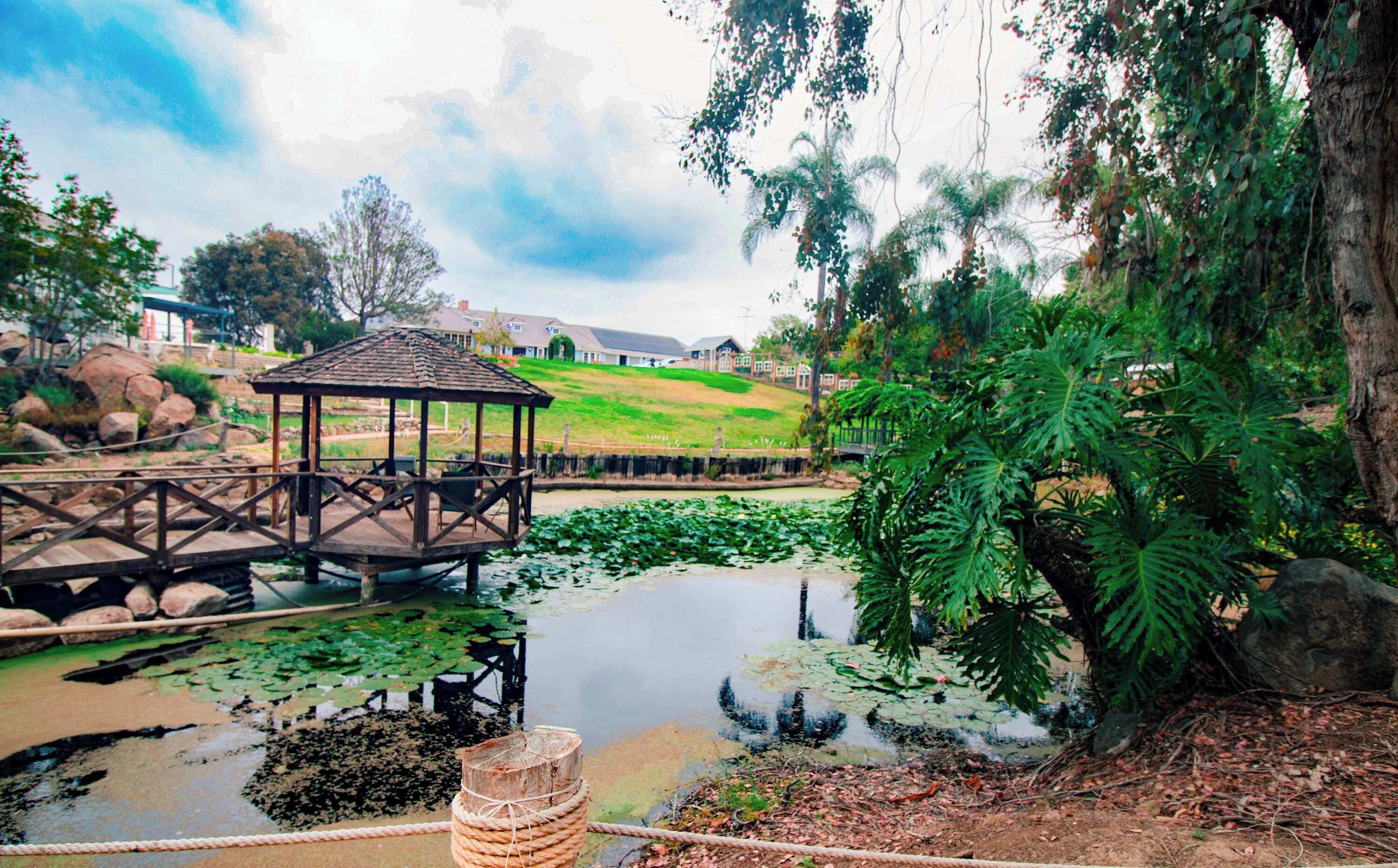 Terrain de l’hébergement 