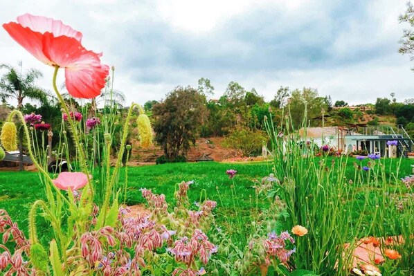 Jardines del alojamiento