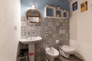 Shower, hair dryer, bidet, towels