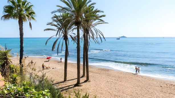 Une plage bordée de palmiers, une étendue de sable et une mer d’un bleu limpide.