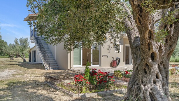 Ein Haus mit einer Treppe, einem großen Baum und einem Garten mit roten Blumen.