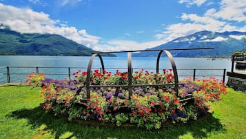 Área da propriedade