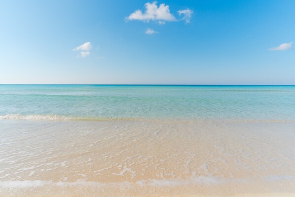 Una playa con aguas transparentes y una orilla arenosa.