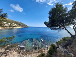 A coastal landscape with clear blue sea, rocky shoreline, and a tree. - Apartment 'De Moraira' with Sea View, Wi-Fi and Air Conditioning (Moraira)