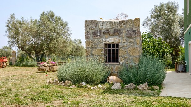 A stone building with a window, surrounded by greenery and trees. - Apartment 'Mimosa' with Shared Garden and Air Conditioning (Pitigliano)