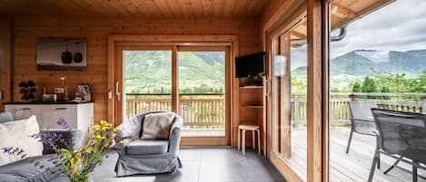 تلفزيون، مشغل دي في دي