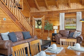 Smart-TV, Kamin