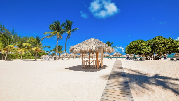 A beach with a wooden walkway leading to a thatched-roof gazebo surrounded by palm trees.