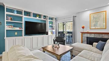 Smart TV, fireplace, books