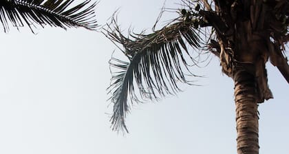 Luxury apartment oceanview wifi security parking 3B/3B