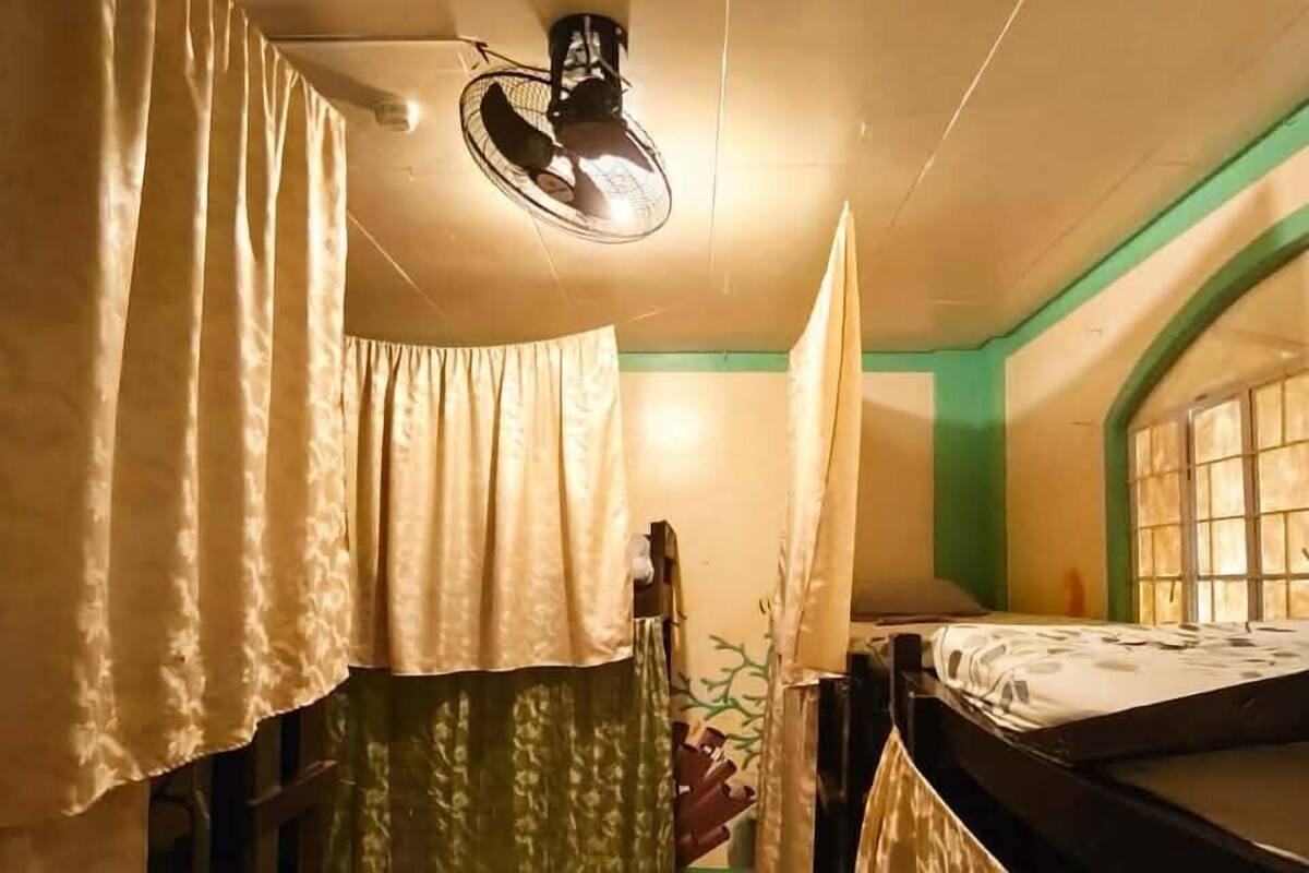 Una habitación con literas, ventilador de techo y ventana con detalles verdes.