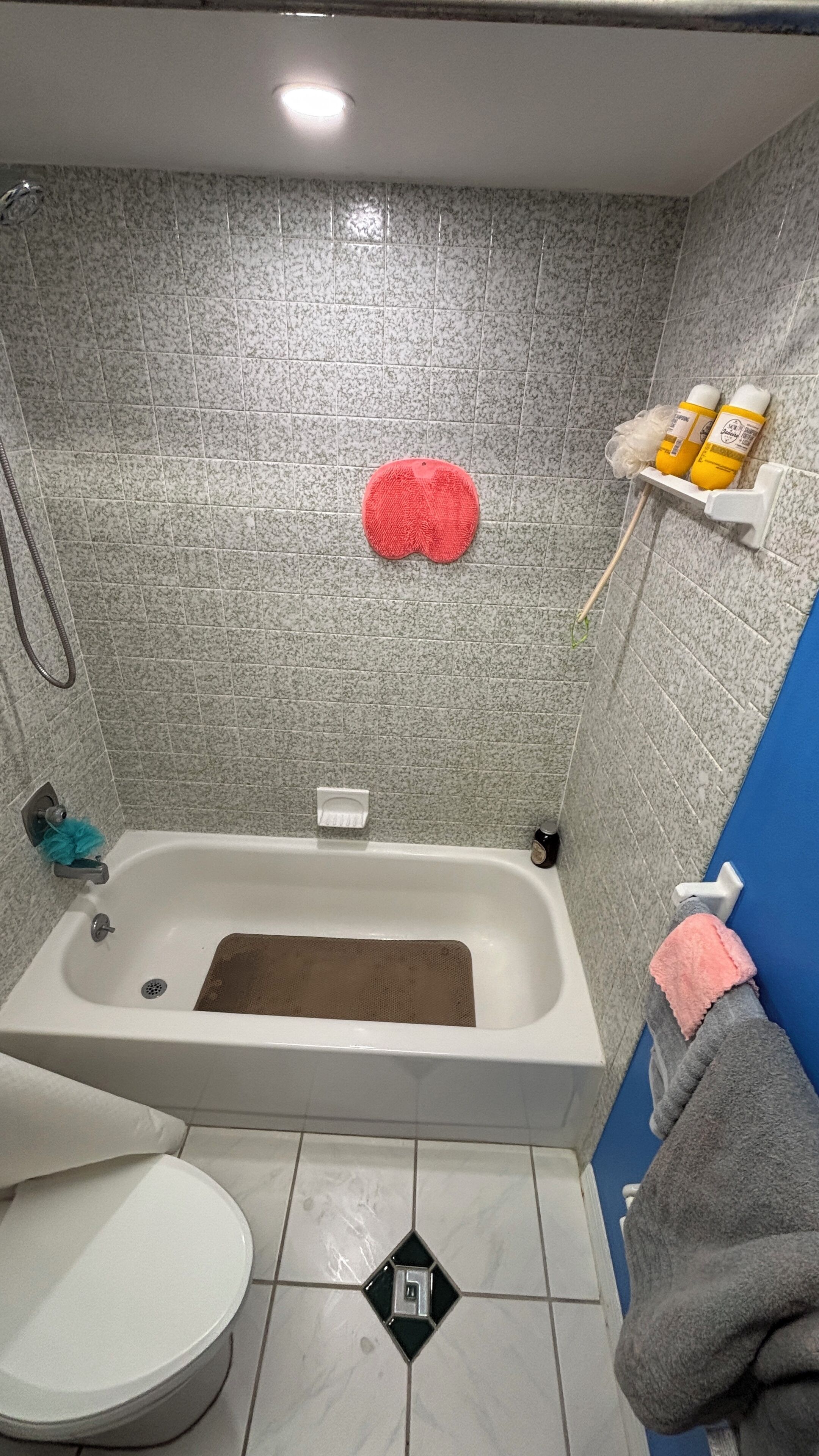 Une salle de bain équipée d’une baignoire, de toilettes et d’un espace douche.