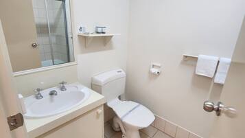 Combined shower/tub, towels, soap, shampoo