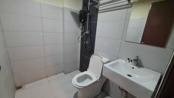 Shower, free toiletries, bidet, towels