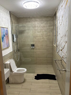 Hair dryer, bidet, towels, soap