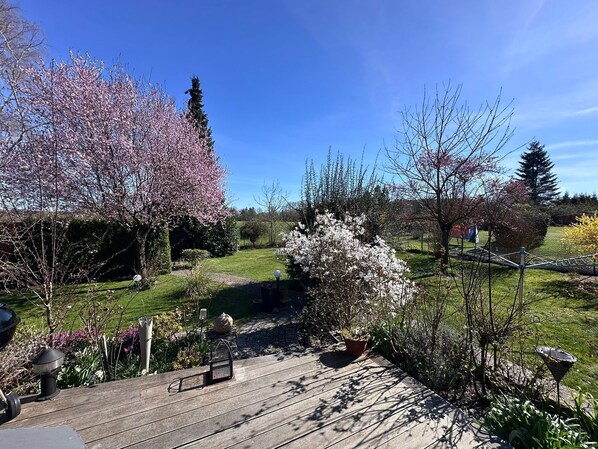A wooden deck with a garden view, including flowering trees and a lawn.