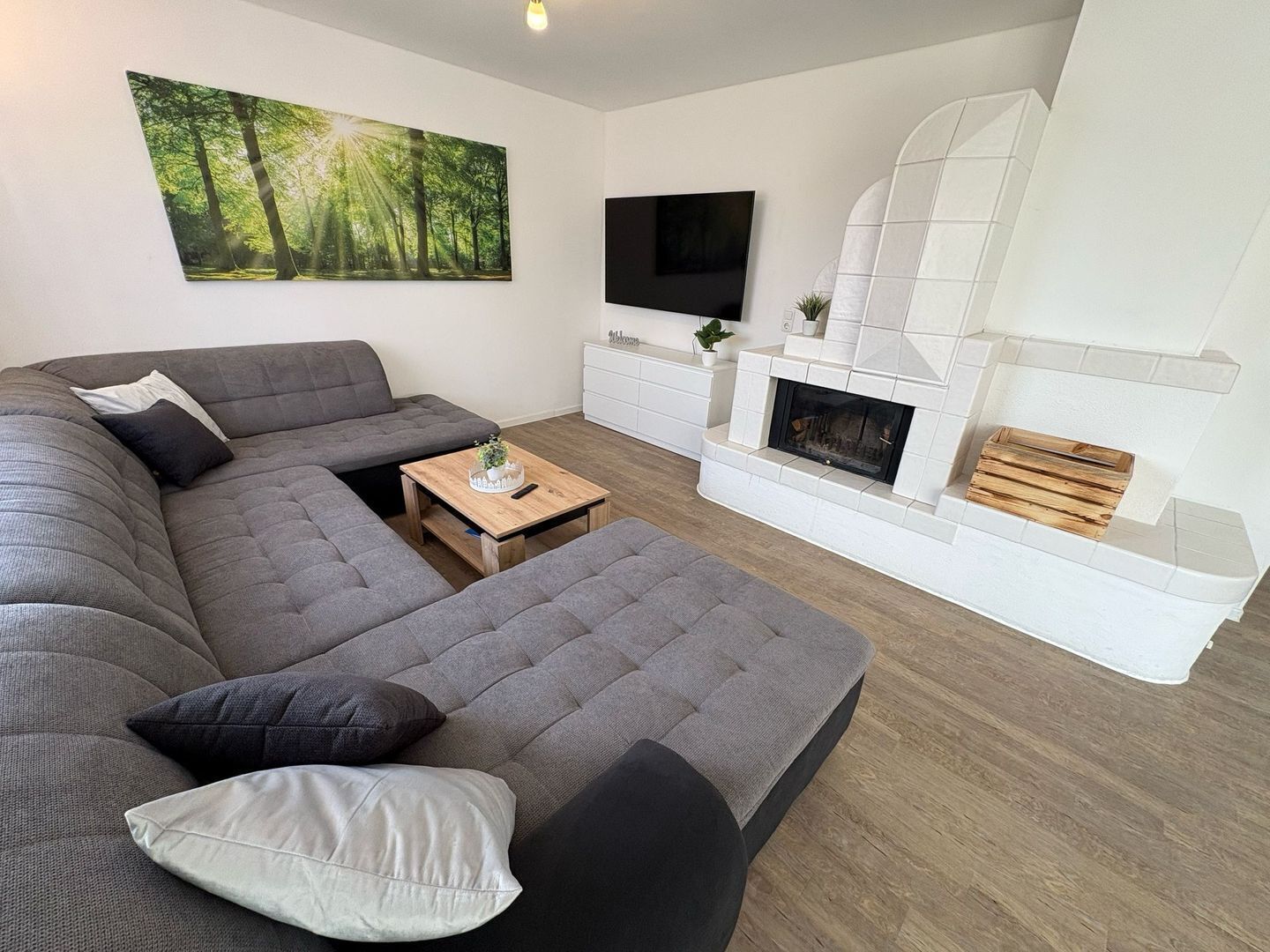 Télévision, cheminée, chaîne hi-fi