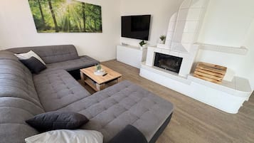 Télévision, cheminée, chaîne hi-fi