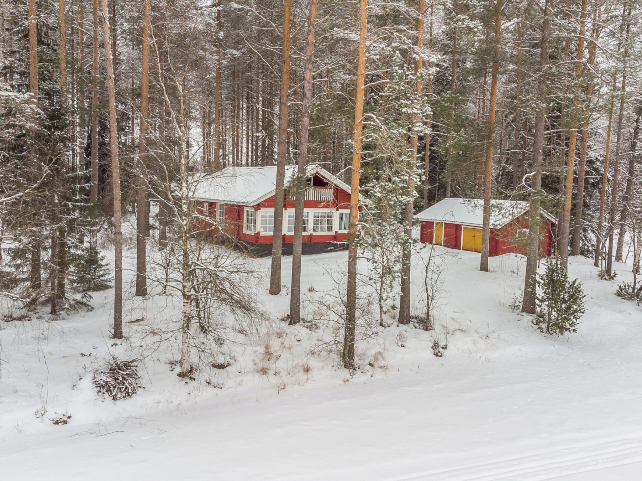 Una cabaña rodeada de altos árboles en un bosque nevado.