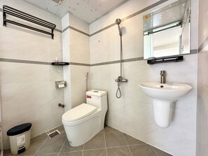 Shower, hair dryer, bidet, towels
