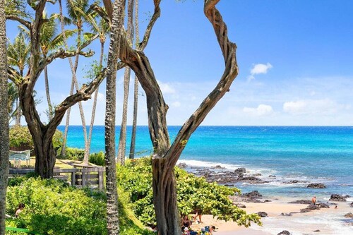 SUMMER SALE! Napili Bay Studio with Direct Ocean View - Napili Bay 210